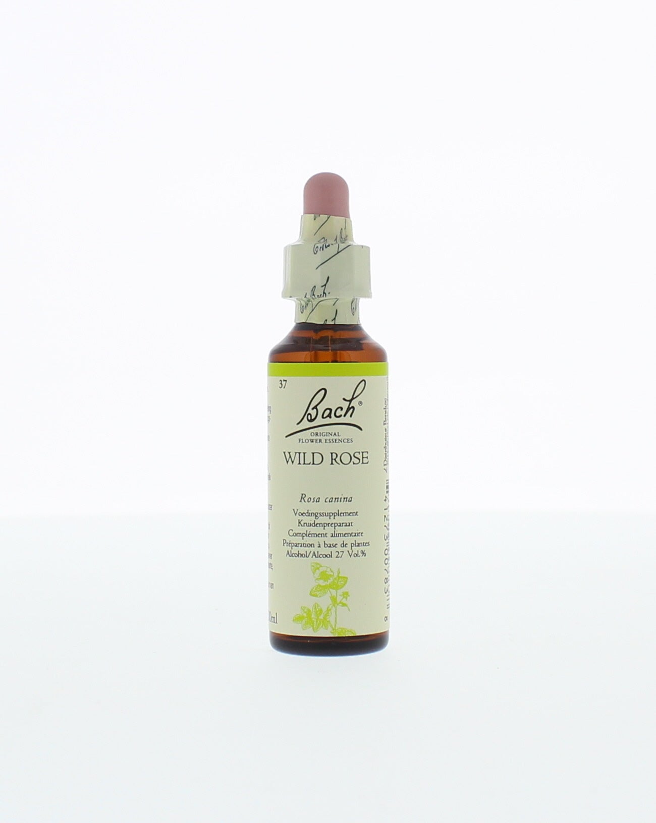 Bach Wild Rose herbal remedy bottle with label, 20ml, in a clear glass container, natural herbal preparation by Bach.