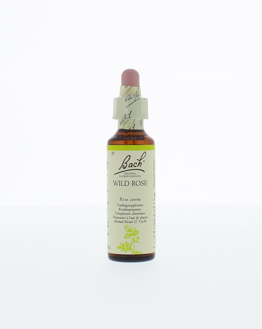 Bach Wild Rose herbal remedy bottle with label, 20ml, in a clear glass container, natural herbal preparation by Bach.