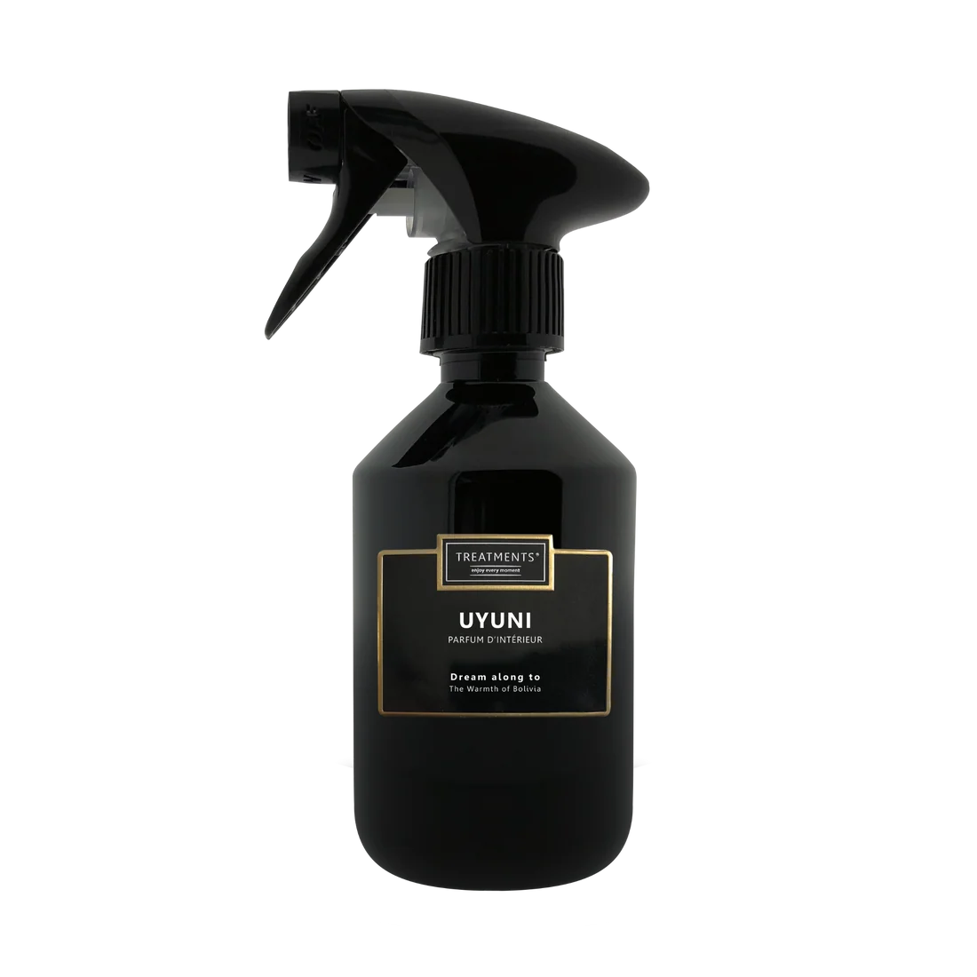 Treatments Uyuni parfum d'intérieur, 300 ml huisparfumfles met minimalistisch ontwerp