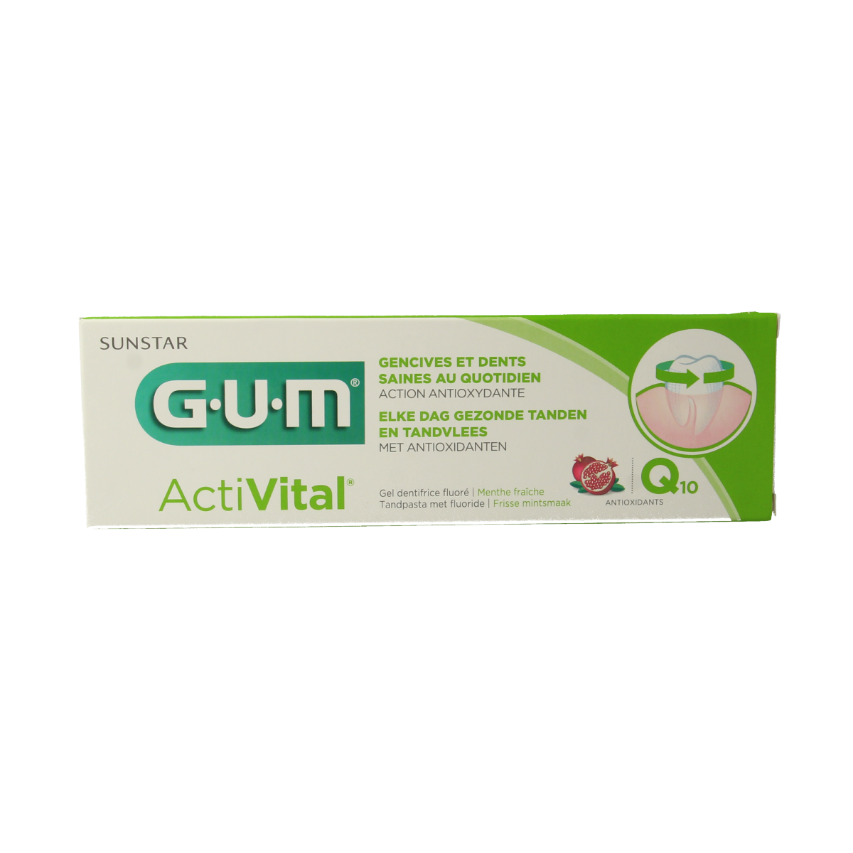 GUM Activital toothpaste in 75ml tube, featuring a white and blue packaging for healthy teeth and fresh breath.