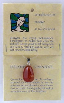 Steengoed Maagd zodiac sign pendant featuring a star constellation gemstone on a silver chain.