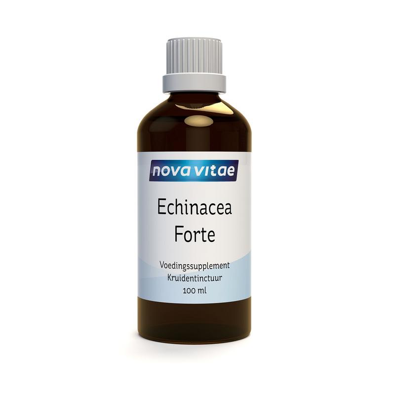 Nova Vitae Echinacea forte kruidentinctuur in 100ml bottle, herbal remedy for immune support, with fresh echinacea flowers and herbs.