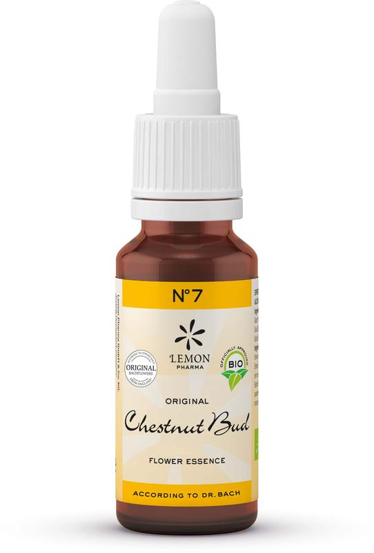 Bach Bloesem Chestnut Bud bio herbal remedy in 20ml bottle, natural herbal preparation from Bach Bloesem brand.