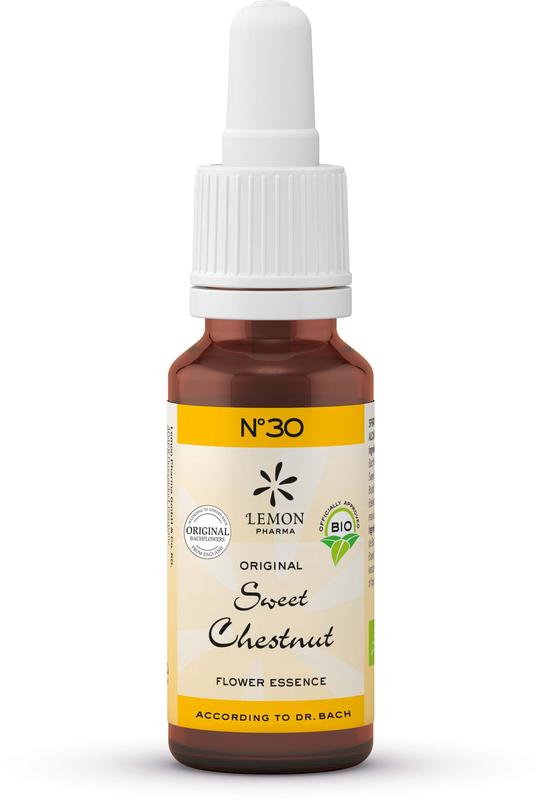 Bach Bloesem Sweet Chestnut herbal remedy in a 20ml bottle, part of Bach flower remedies, used for emotional balance and stress relief.