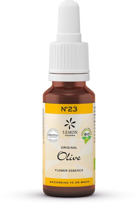 Bach Bloesem Olive bio herbal remedy in 20ml bottle, natural herbal preparation from Bach Bloesem brand.