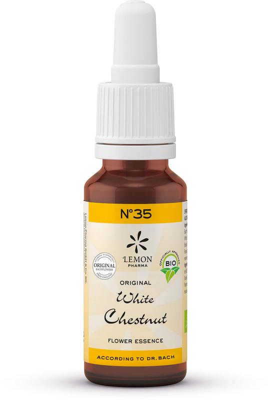 Bach Bloesem White Chestnut herbal remedy bottle, 20ml, in a natural herbal preparation from Bach Bloesem.