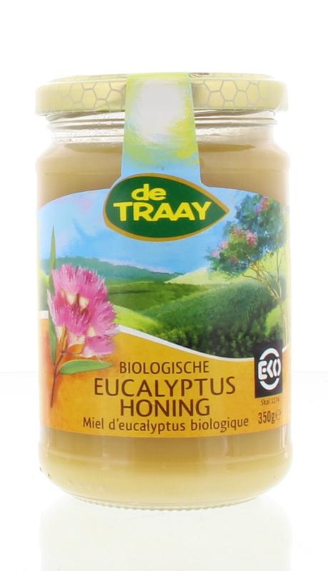 de Traay Eucalyptus honey cream jar, 350g, showcasing the natural honey and eucalyptus ingredients in a glass jar.