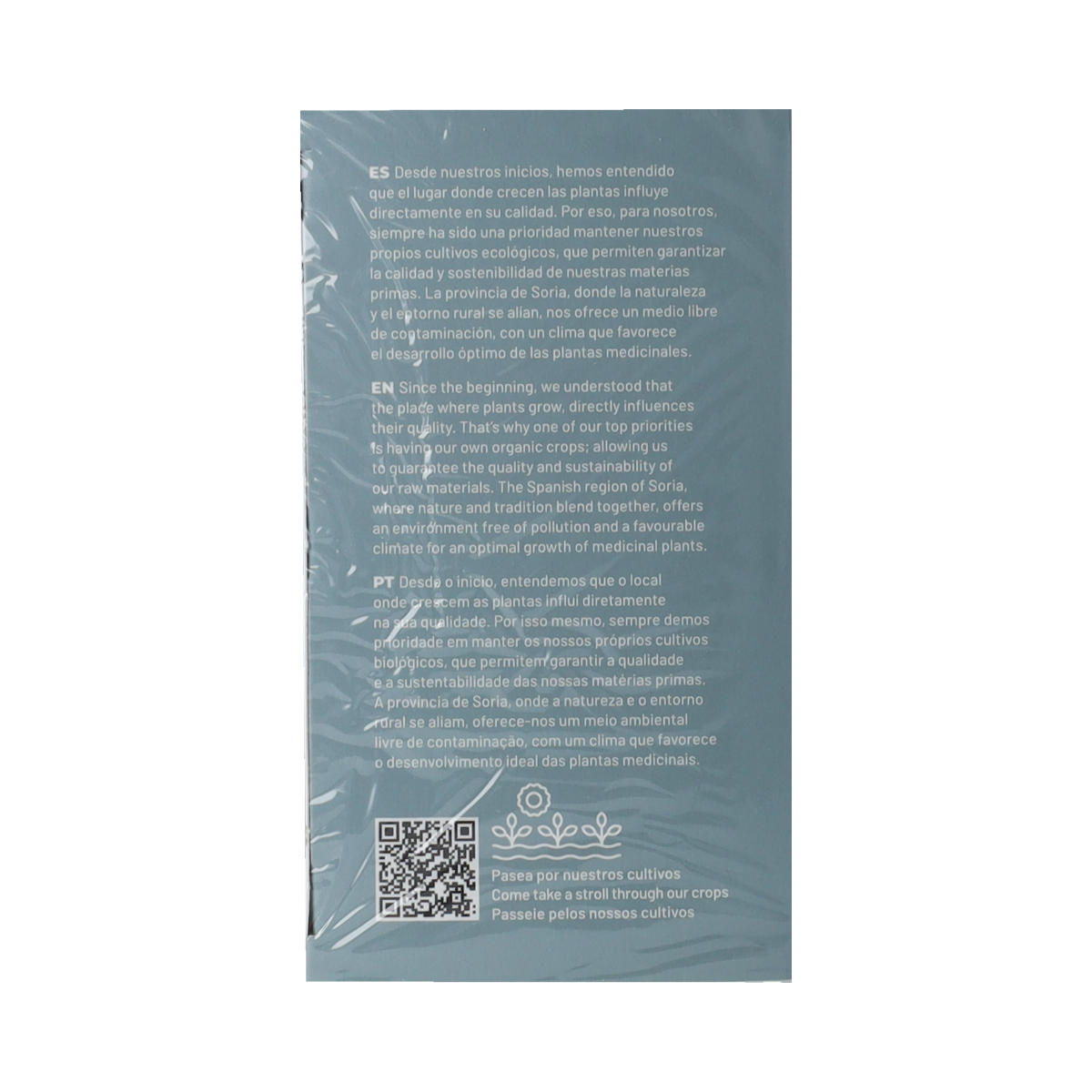 Soria Natural Rozemarijn infusie tea in a box with 20 tea bags, natural herbal tea with rosemary for flavor and wellness.