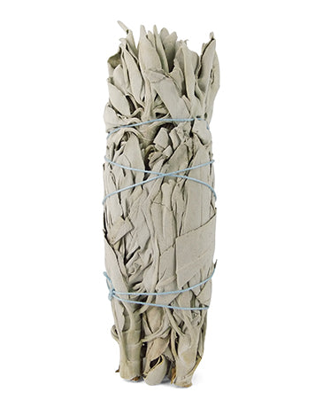 Ruben Robijn Saliebosje 14 cm, a spirituality product with a natural, earthy appearance, in a 1.00 piece set.