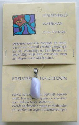 Sterengoed waterman sterrenbeeldsteen hanger with stones, featuring a unique design in a close-up shot.
