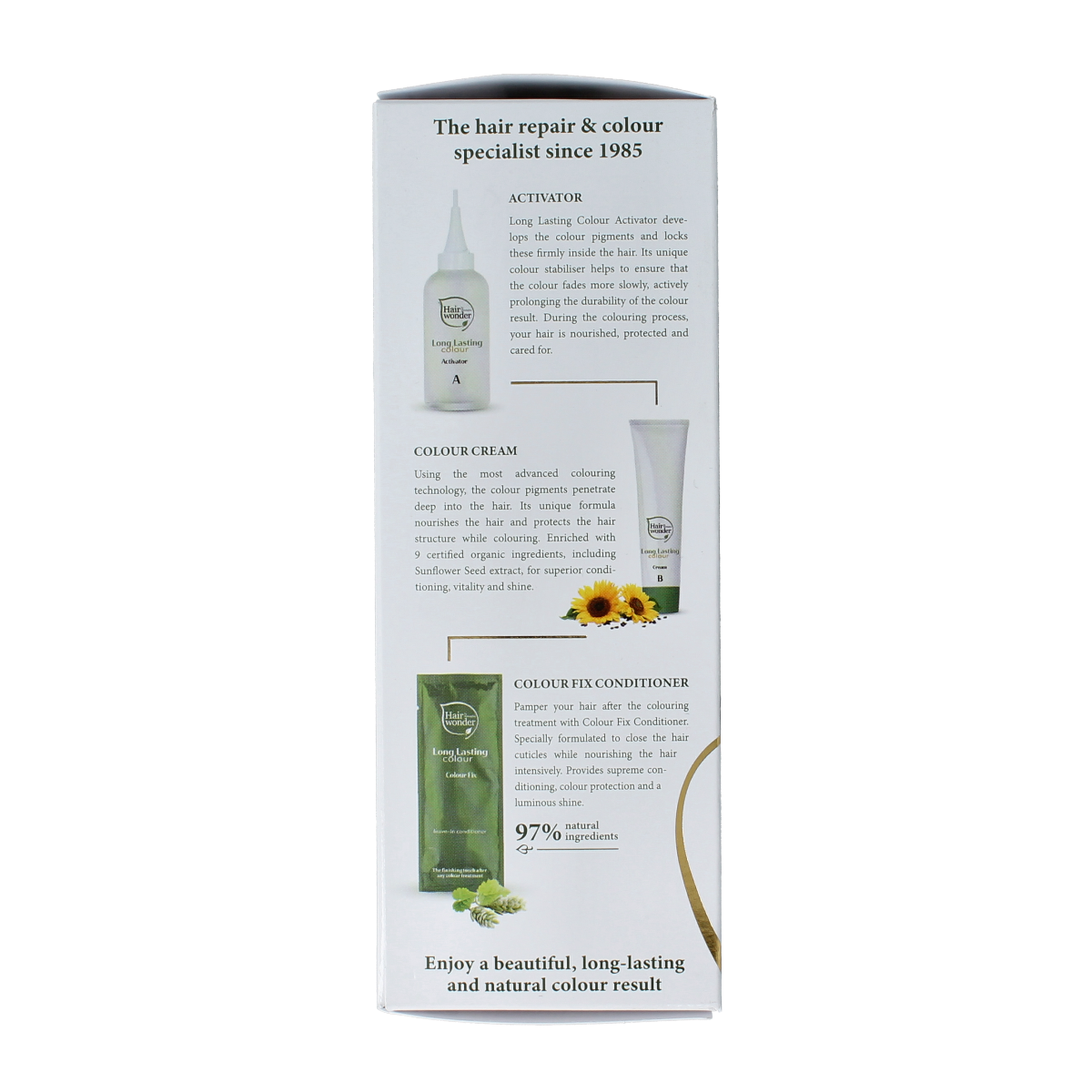 Henna Plus Long Lasting Colour 10.01 Silver Blonde hair dye in 100ml tube, showcasing the Silver Blonde shade.