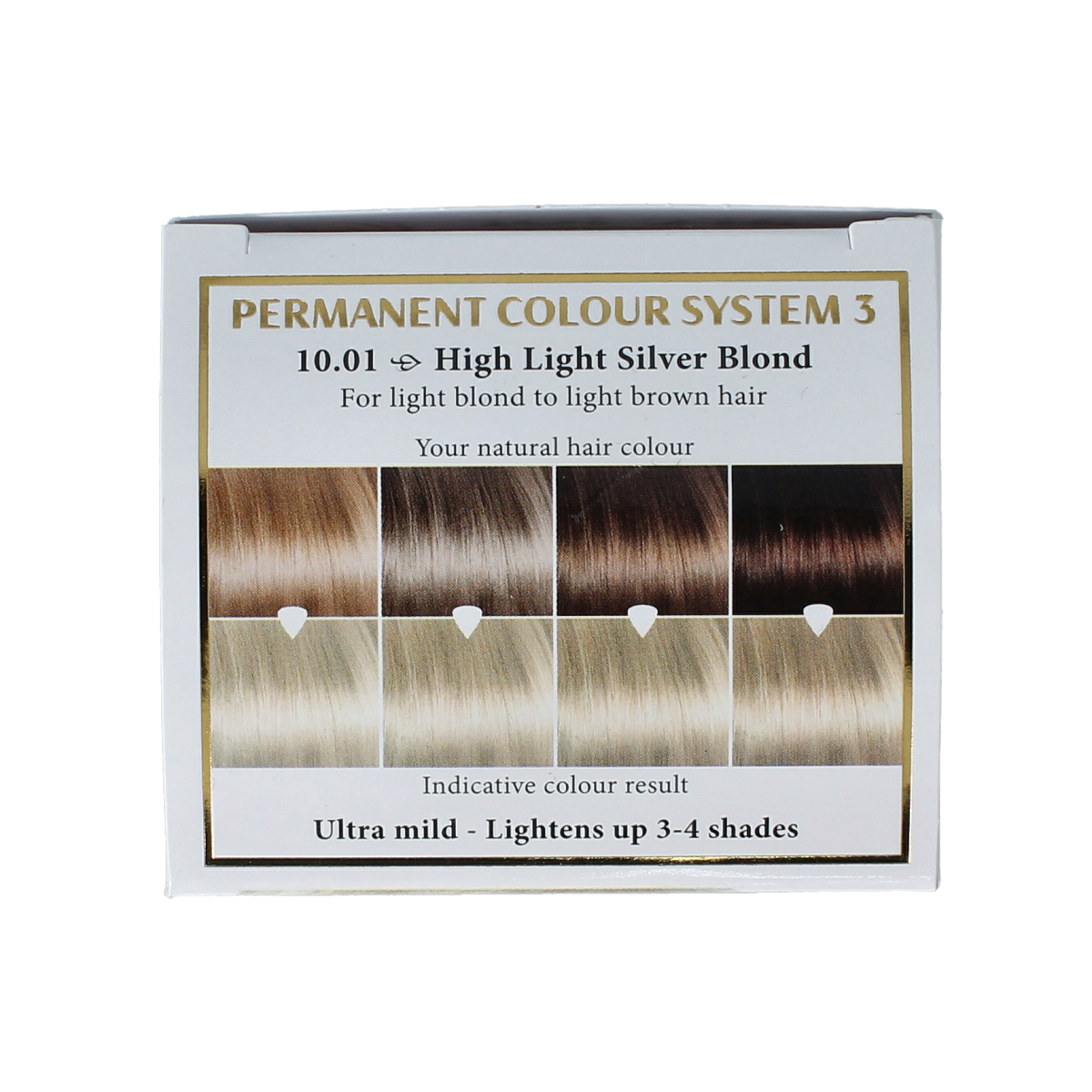 Henna Plus Long Lasting Colour 10.01 Silver Blonde hair dye in 100ml bottle, showcasing the silver blonde shade.