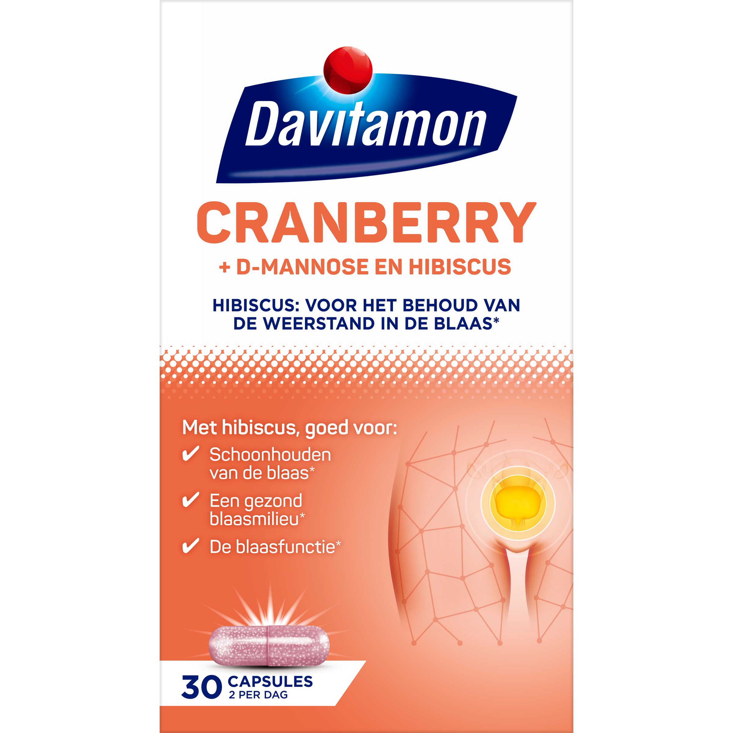 Davitamon Cranberry kruidenpreparaten capsules, 30-count, dietary supplement with cranberry extract for urinary health.