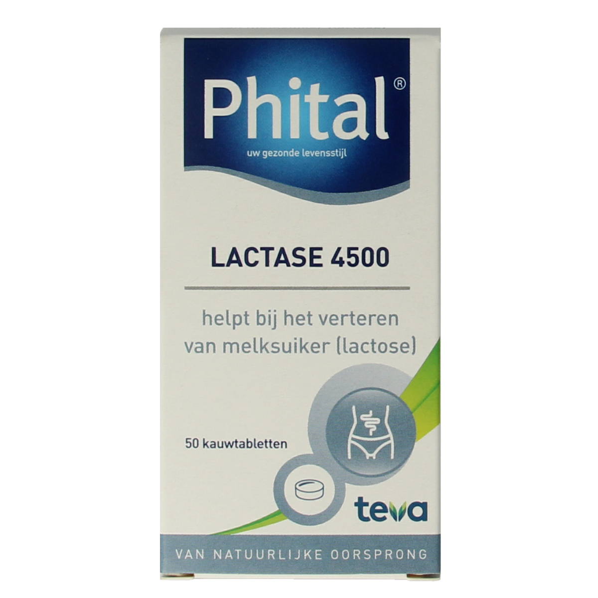 Phital Lactase 4500 chewable tablets, dietary supplement with fibers and enzymes, in blister packaging.