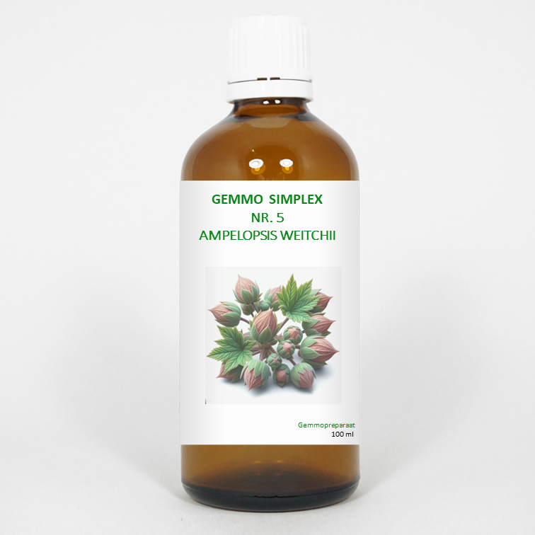 Balancepharma Gemmo Simplex Ampelopsis weitchii herbal remedy in a 100ml bottle, part of Balancepharma's herbal supplement line.