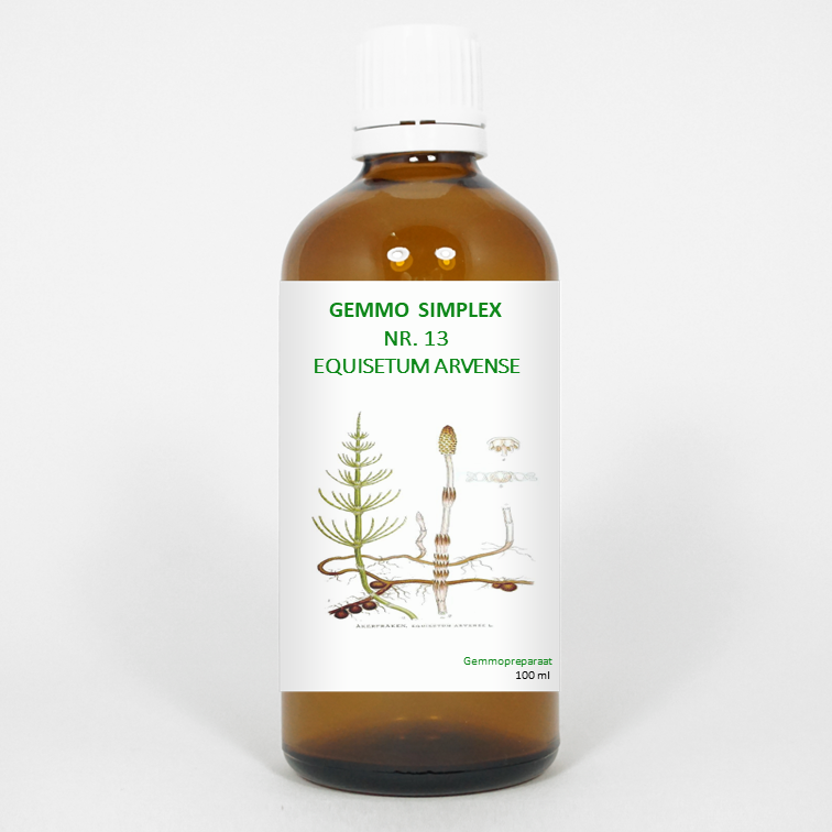 Balancepharma Gemmo Simplex 13 Equisetum Arvense herbal preparation in a 100ml bottle, used for herbal remedies.