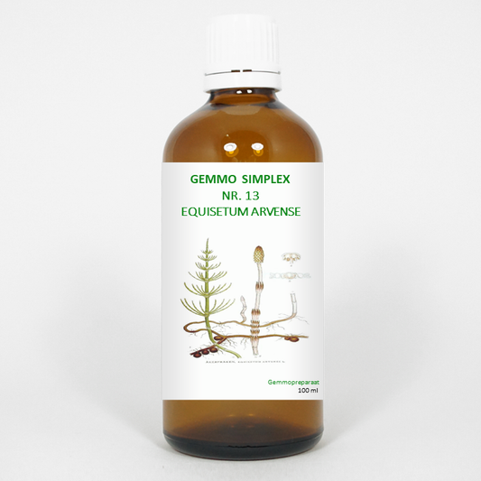 Balancepharma Gemmo Simplex 13 Equisetum Arvense herbal preparation in a 100ml bottle, used for herbal remedies.