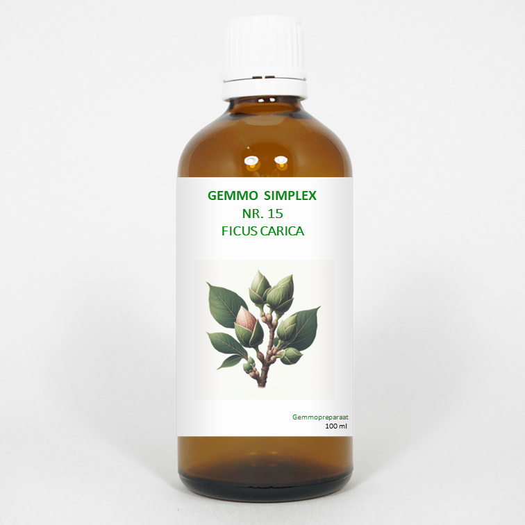 Balancepharma Gemmo Simplex 15 Ficus Carica herbal preparation in a 100ml bottle, used as a herbal supplement.