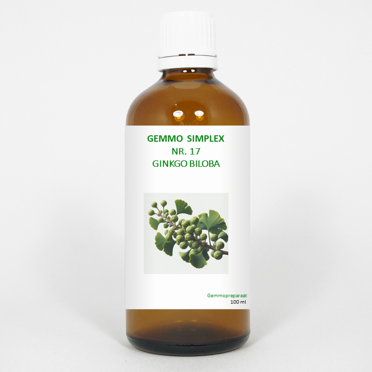 Balancepharma Gemmo Simplex Ginkgo Biloba herbal supplement in a 100ml bottle, part of Balancepharma's herbal preparations.