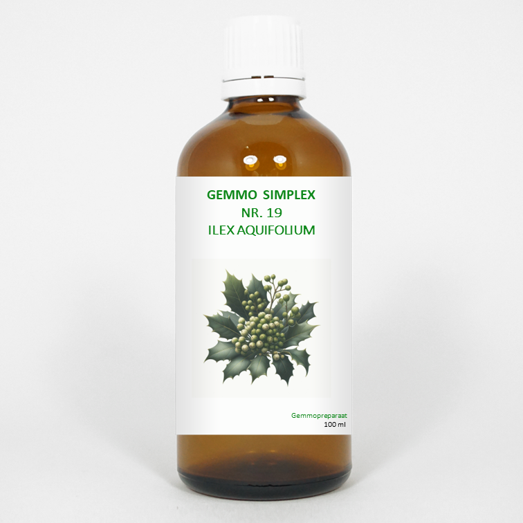 Balancepharma Gemmo Simplex 19 Ilex aquifolium herbal preparation in a 100ml bottle, featuring holly leaf extract.