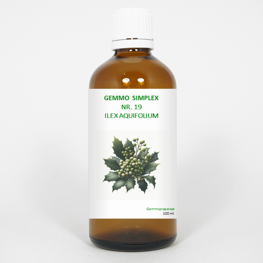 Balancepharma Gemmo Simplex 19 Ilex aquifolium herbal preparation in a 100ml bottle, featuring holly leaf extract.