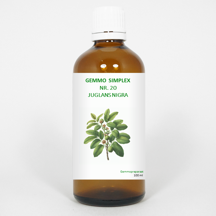 Bottle of Balancepharma Gemmo Simplex 20 Juglans Nigra herbal remedy in a 100ml glass bottle with label.