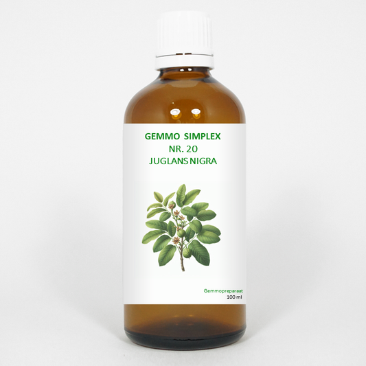 Bottle of Balancepharma Gemmo Simplex 20 Juglans Nigra herbal remedy in a 100ml glass bottle with label.