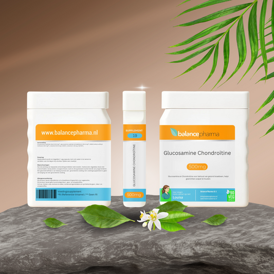 Balancepharma 19 Glucosamine Chondroitine vegetarian capsules, mineral supplement for joint support, shown in the image.