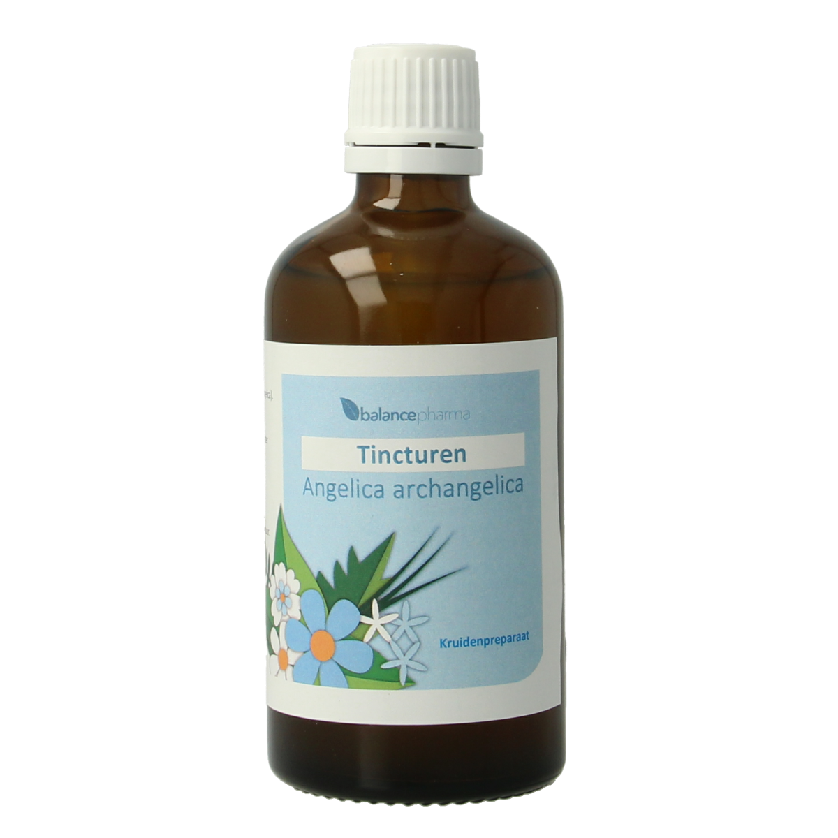 Balancepharma Angelica archangelica tincture in a 100ml bottle, herbal supplement with fresh angelica plant imagery.
