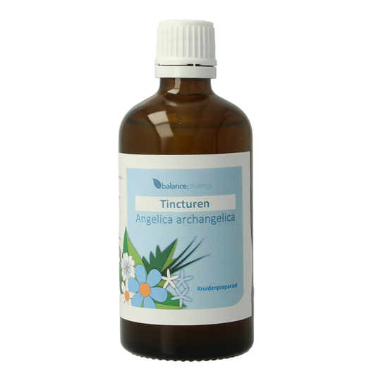 Balancepharma Angelica archangelica tincture in a 100ml bottle, herbal supplement with fresh angelica plant imagery.