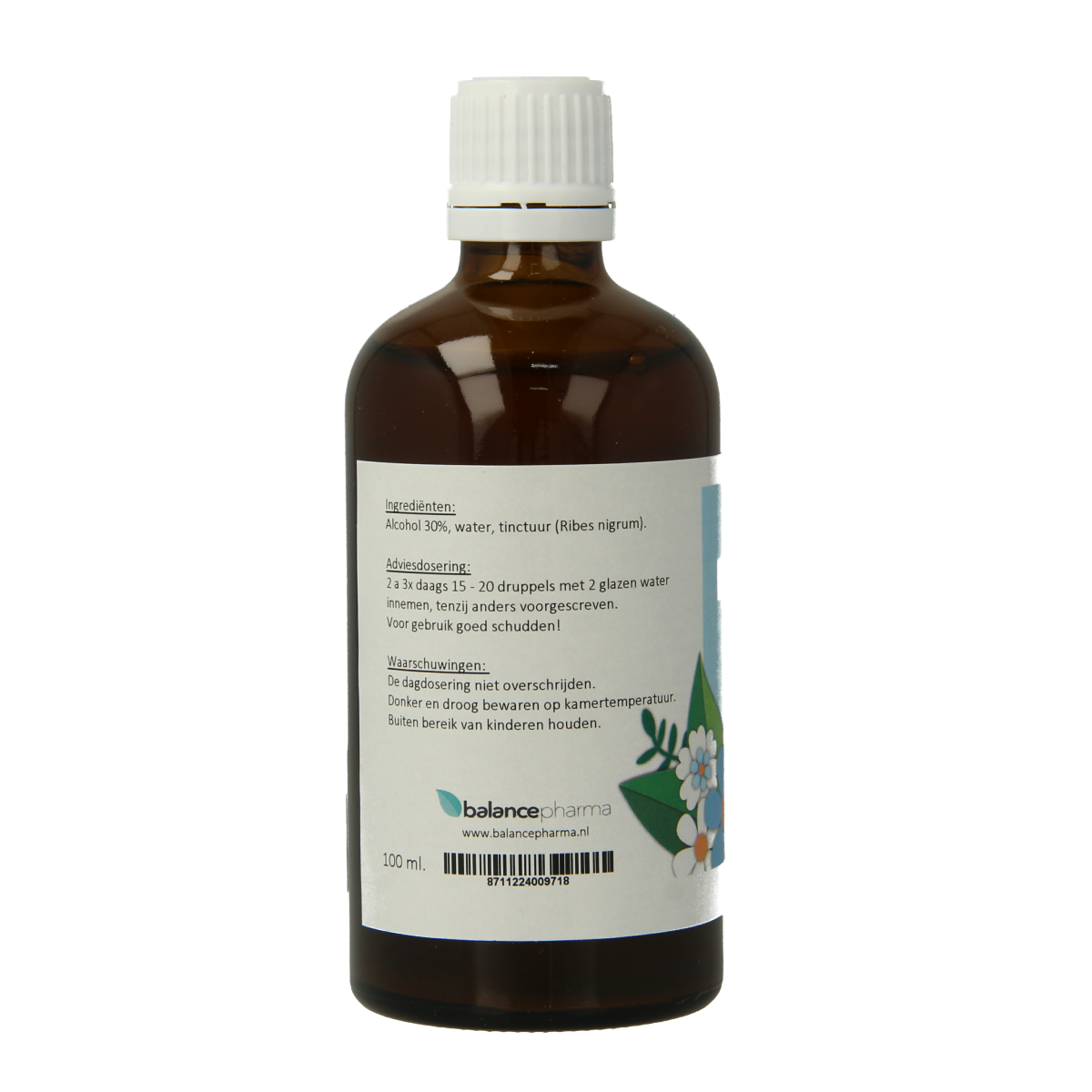 Balancepharma Ribes nigrum tincture in 100ml bottle, herbal supplement from Kruidenpreparaten line, with blackcurrant leaves and berries.