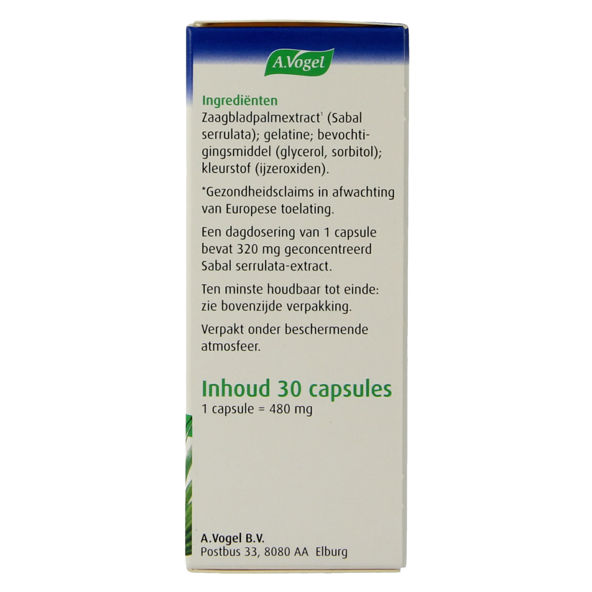 A Vogel Prostaforce capsules in a blister pack, herbal supplement for prostate support, in a natural, health-focused setting.