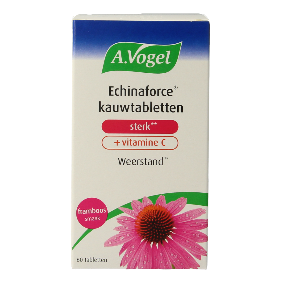 A Vogel Echinaforce herbal chewable tablets with vitamin C, 60 count, featuring herbal packaging and tablets in a blister pack.
