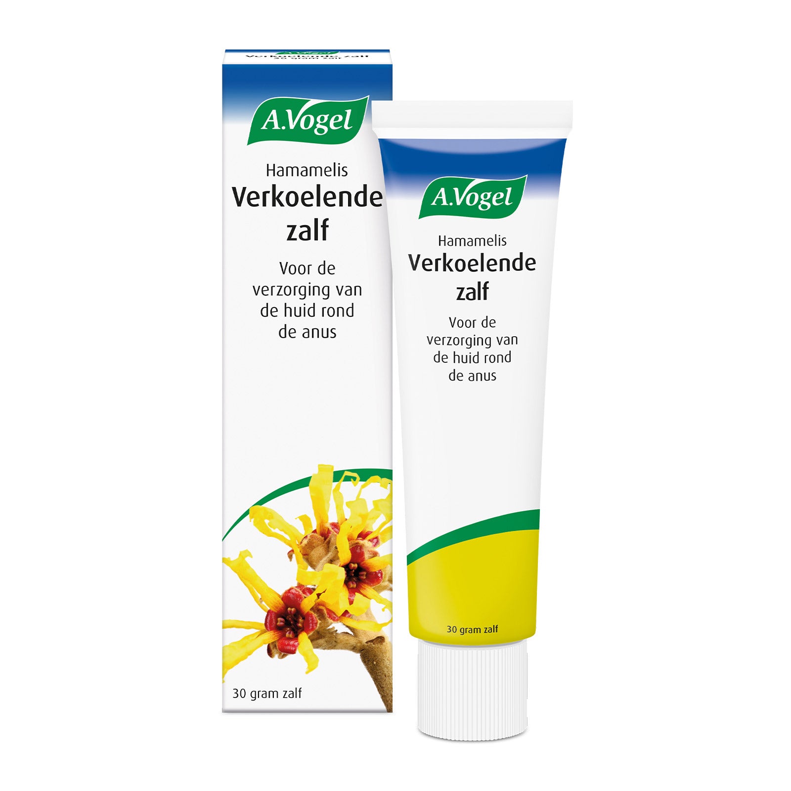 A Vogel Hamameliszalf verkoelende zalf in een 30 gram tube, geschikt voor lichaamsverzorging en huidverzorging.