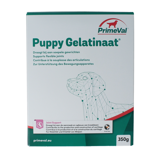 Primeval Gelatinaat puppy dietary supplement in 350g jar, showing the product packaging with label and branding for dog health.