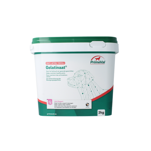 Primeval Gelatinaat hond voedingssupplement in 2kg bag, natural gelatin supplement for dog health and joint support.