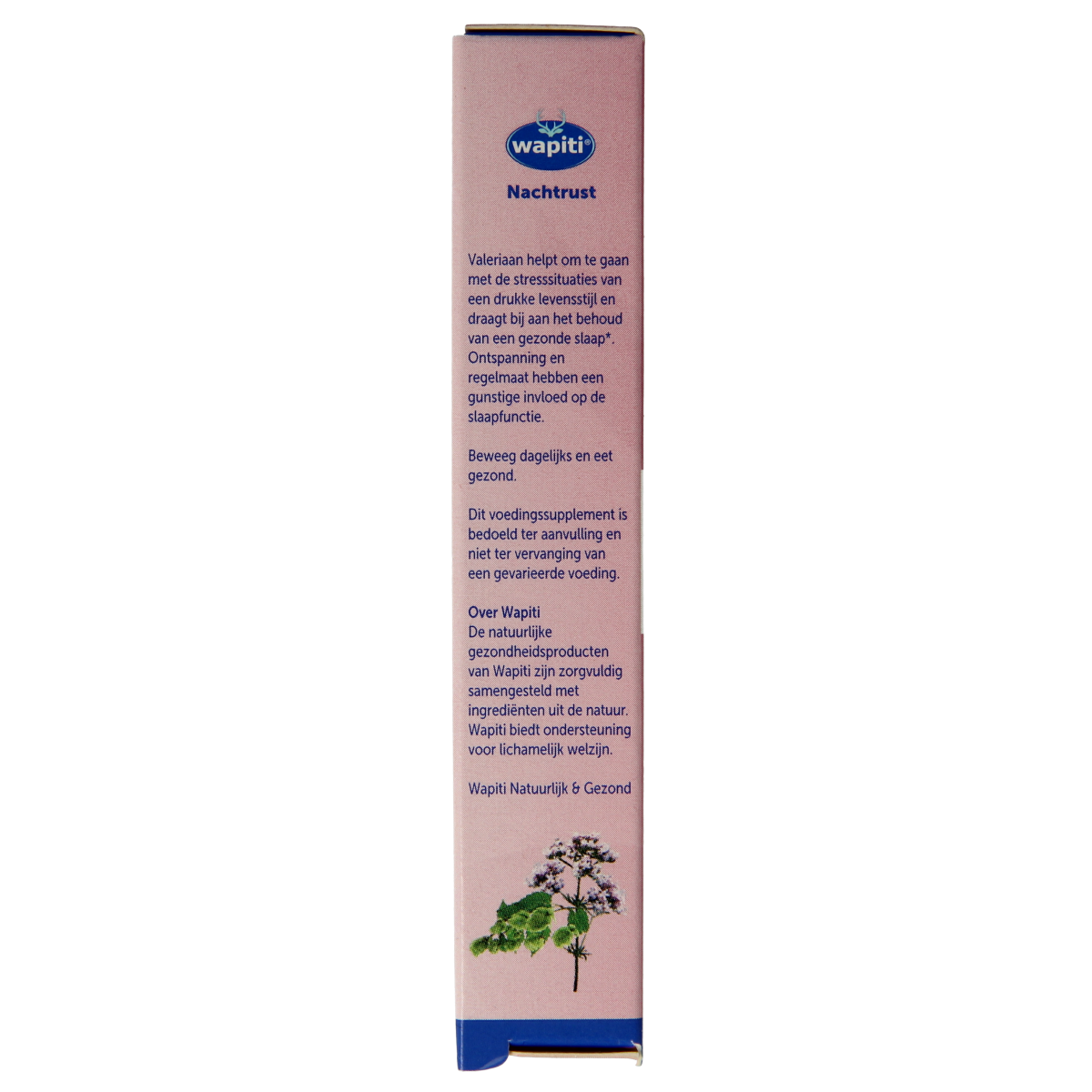 Wapiti Nachtrust 10.00 dragees, herbal supplement in a transparent container, showing the small round herbal tablets.