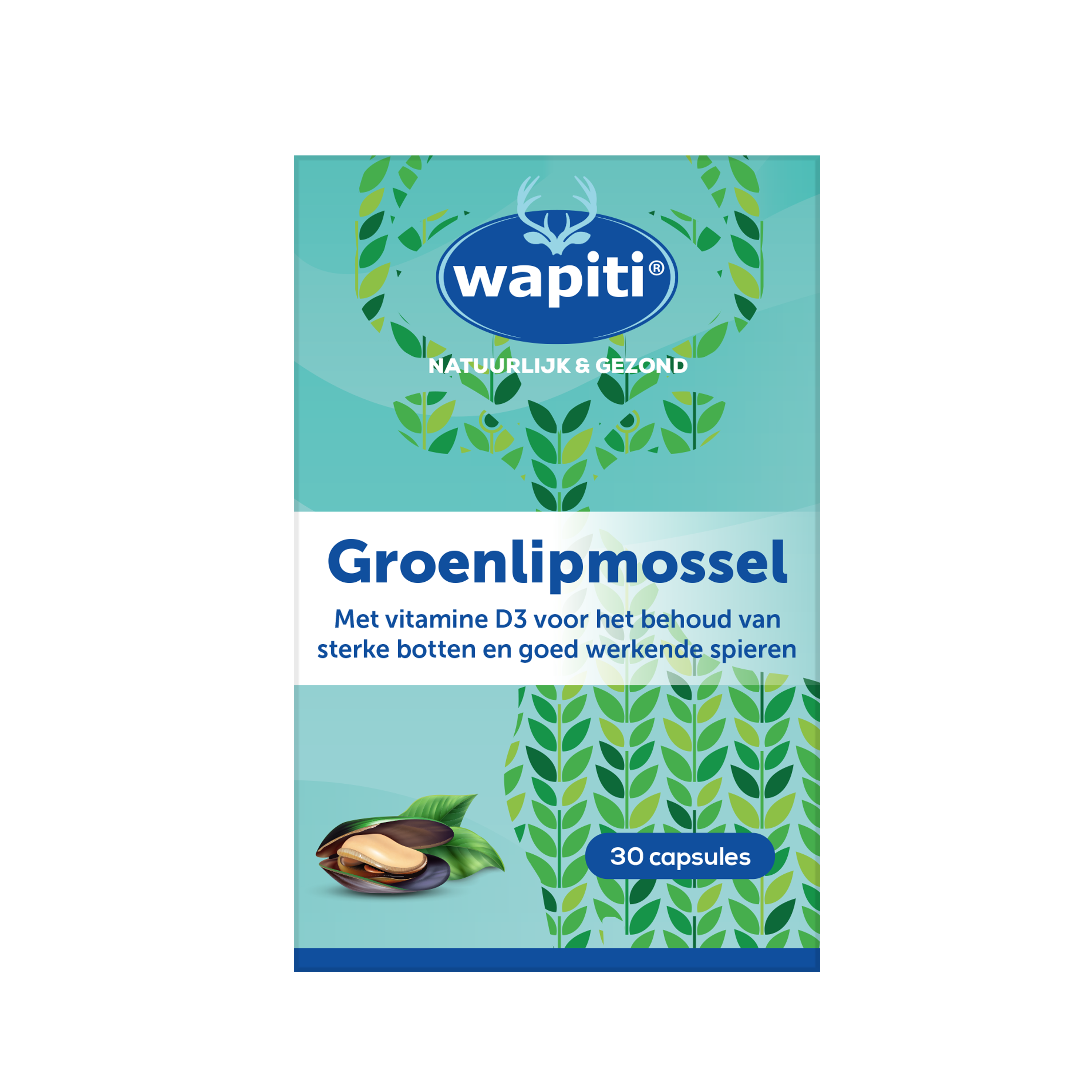 Wapiti Groenlipmossel extract capsules, mineral supplement, 30 count, in a bottle with label showing product details.