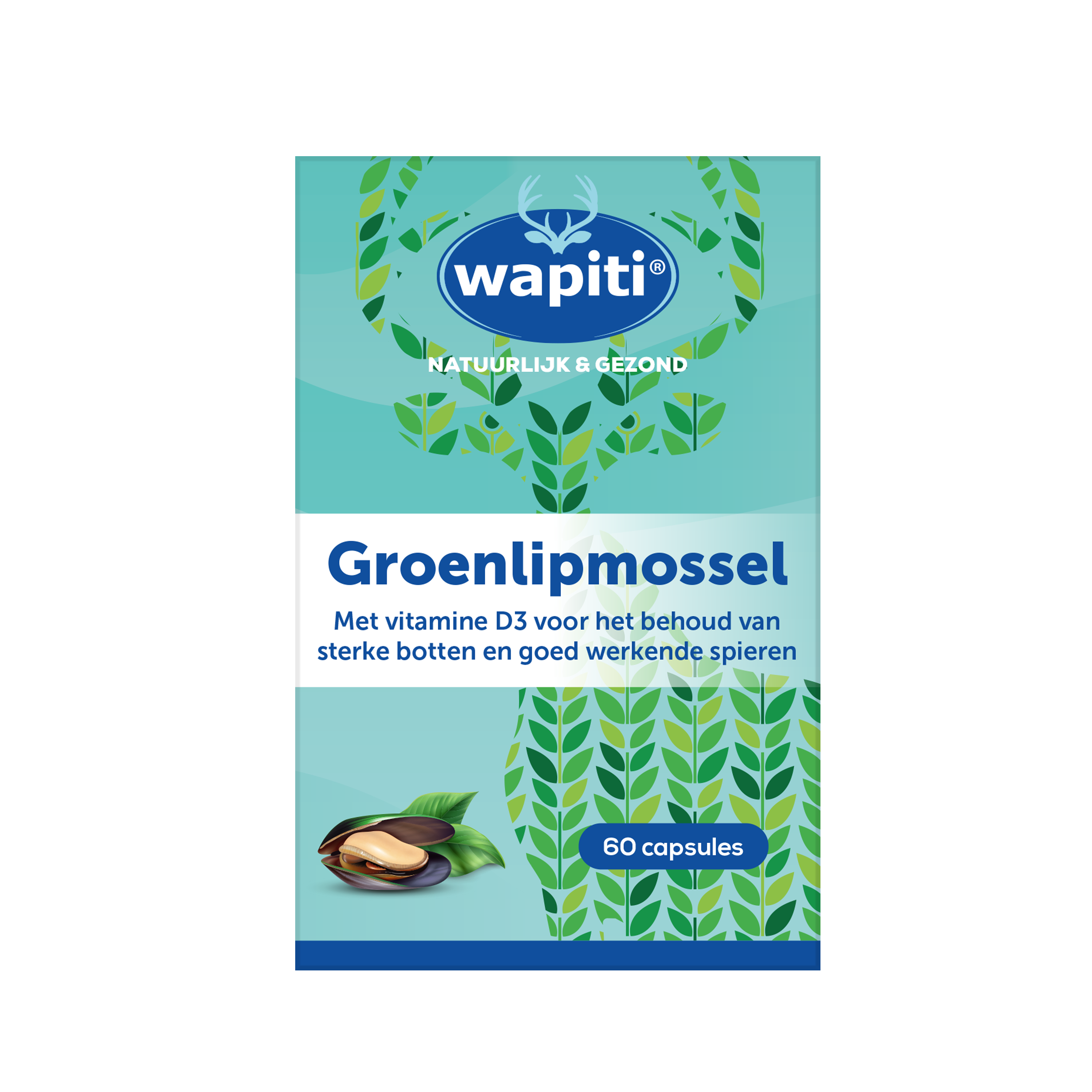 Wapiti Groenlipmossel extract capsules, 60 count, dietary supplement with omega fatty acids, in a white bottle.