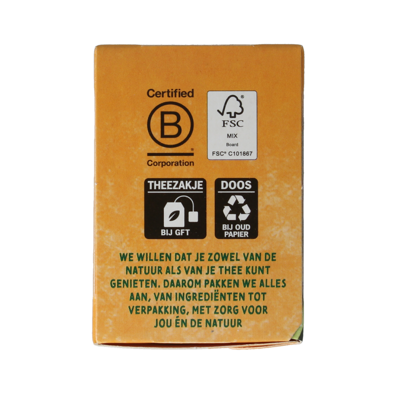 Zonnatura bio ginger lemongrass tea in a box of 20 tea bags, herbal infusion with fresh ginger and lemongrass flavors.
