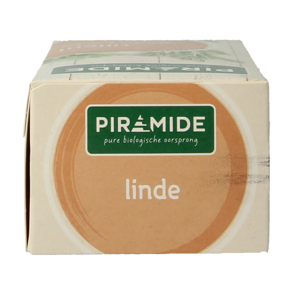 Piramide Lindebloesem organic herbal tea in a pyramid tea bag, with fresh lindebloesem flowers visible inside.