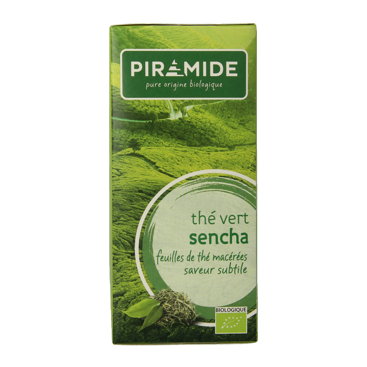 Piramide groene thee sencha bio tea bags, 20 count, featuring green tea leaves in pyramid-shaped infuser bags.