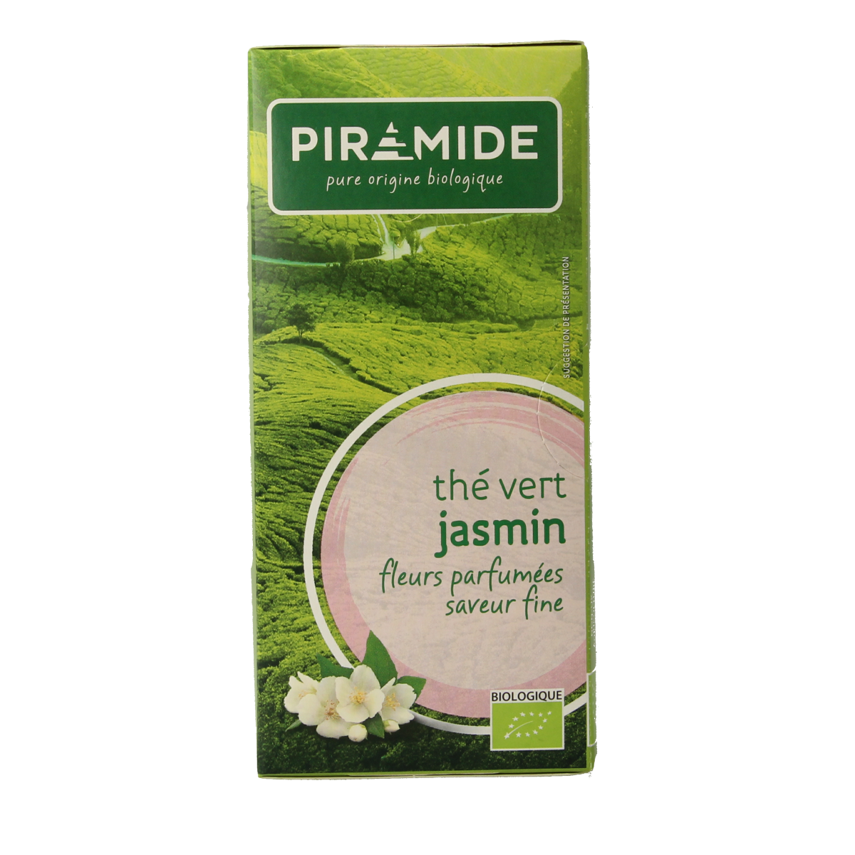 Piramide groene thee en jasmijn bio in 20 zakjes, eco-friendly, with fresh green tea leaves and jasmine flowers.