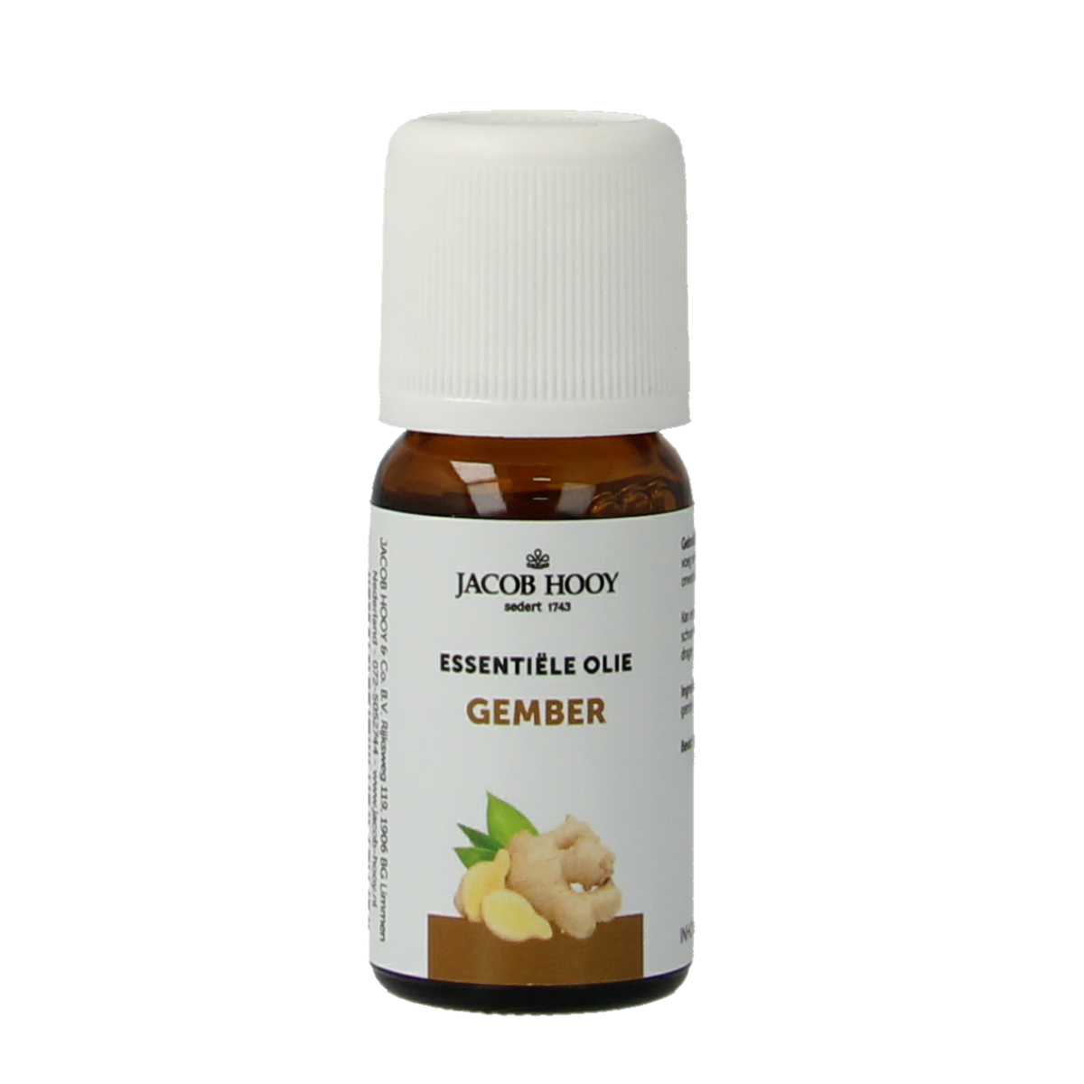 Bottle of Jacob Hooy ginger essential oil in a 10ml glass container, labeled with product details and brand name.