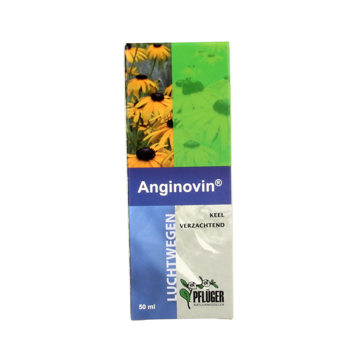 Pflüger Anginovin herbal preparation bottle, 50ml, in front of a white background, showcasing the product packaging and label.