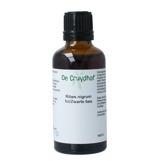Cruydhof Ribus nigrum and black currant herbal preparation in a 50ml bottle, featuring dark liquid and herbal ingredients.
