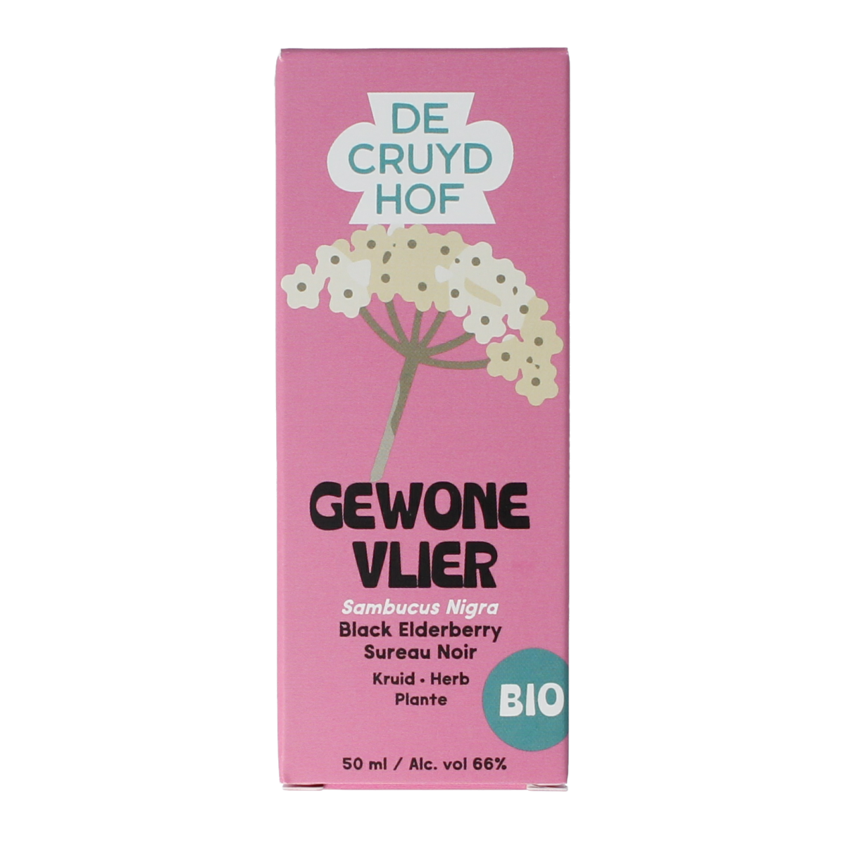Cruydhof organic Elderberry (Sambucus nigra) essential oil in a 50ml bottle, natural herbal remedy and aromatic oil.