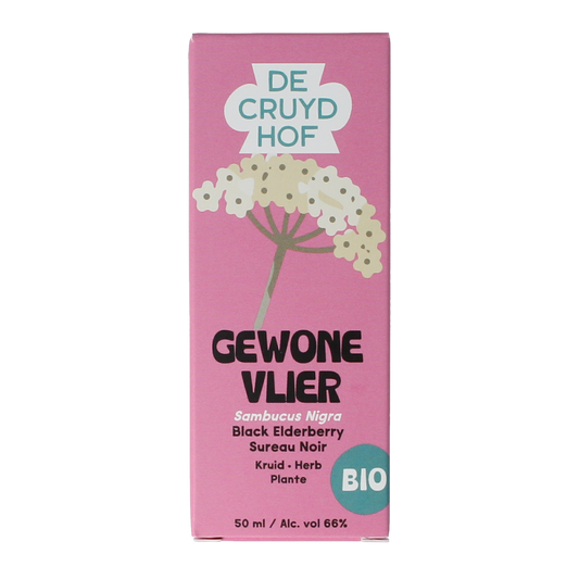 Cruydhof organic Elderberry (Sambucus nigra) essential oil in a 50ml bottle, natural herbal remedy and aromatic oil.