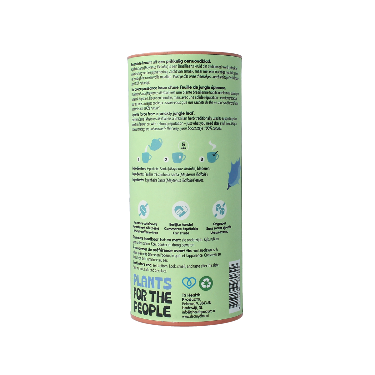 Cruydhof espinheira santa (Maytenus ilicifolia) tea bags, 20 pieces, for herbal tea in a natural packaging.