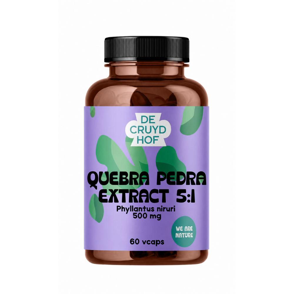 De Cruydhof Quebra Pedra extract in 60 vegetarian capsules, dietary supplement with herbal extract for wellness.